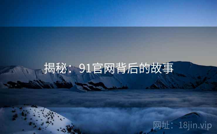 揭秘：91官网背后的故事