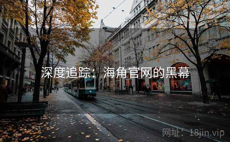 深度追踪：海角官网的黑幕