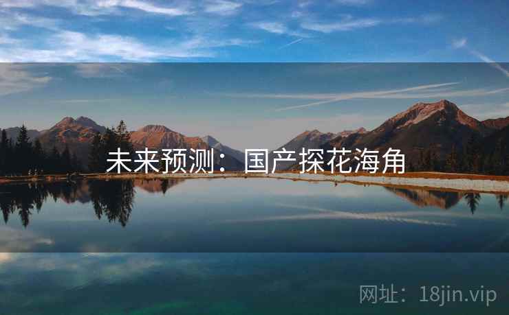 未来预测：国产探花海角
