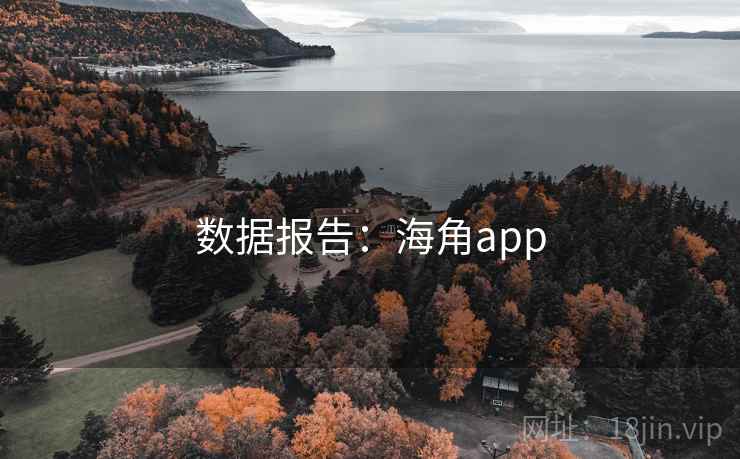 数据报告：海角app